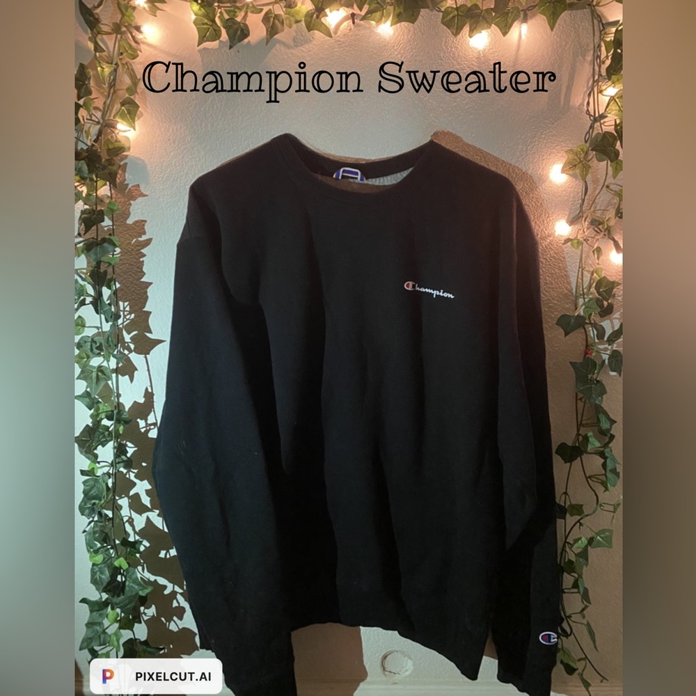 Champion sweater